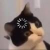 thanchanokj